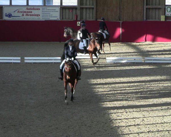 Reitturnier Krumke 2025