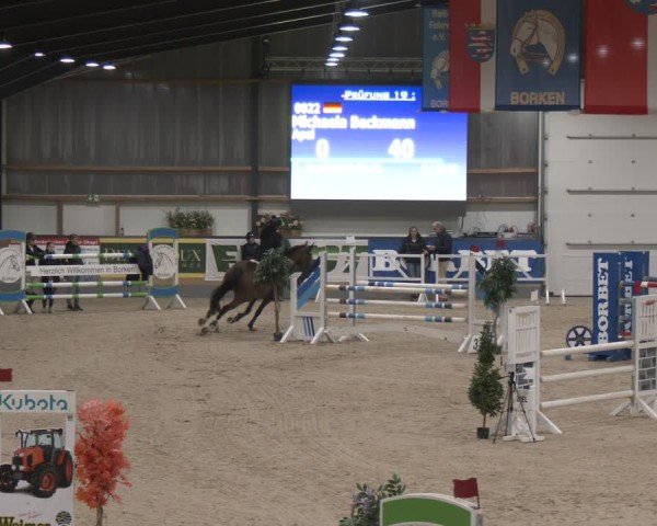Reitturnier Borken (Hessen) 2025