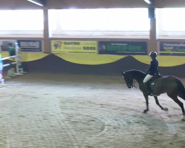 Reitturnier Sauldorf 2025