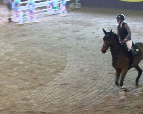 Reitturnier Sauldorf 2025