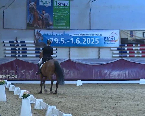 Reitturnier Eicherloh 2025