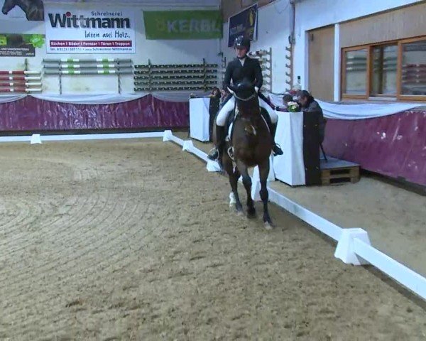 Reitturnier Eicherloh 2025