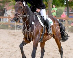 jumper Bonne Mio (Holsteiner, 2002, from Barnaul xx)