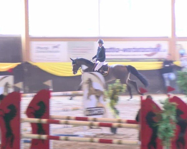 Reitturnier Sauldorf 2025