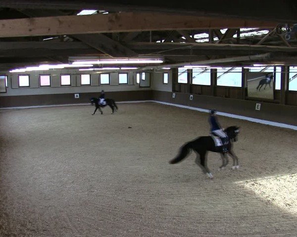 Reitturnier Poggersdorf 2025