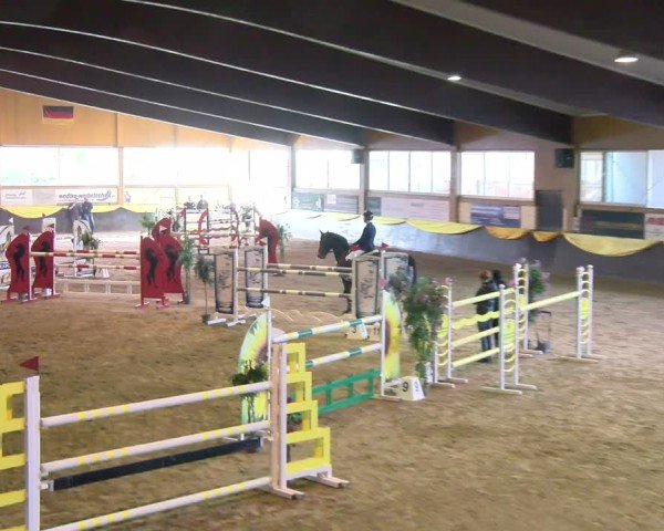 Reitturnier Sauldorf 2025