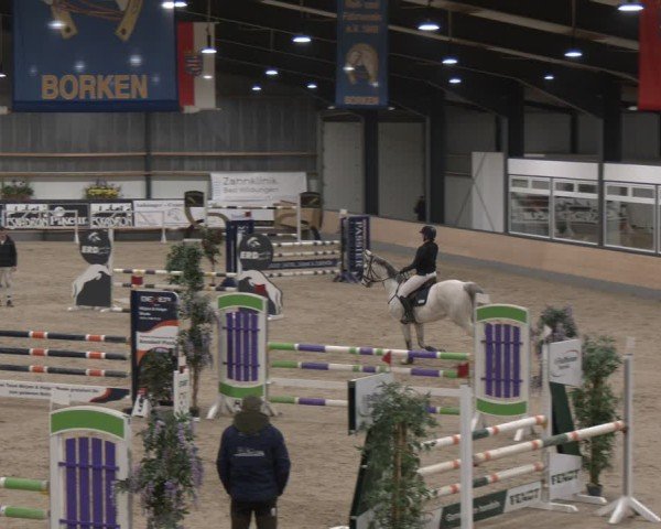 Reitturnier Borken (Hessen) 2025