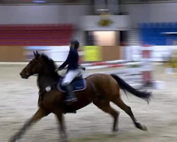 11. Hallen-Championat Vechta 2013
