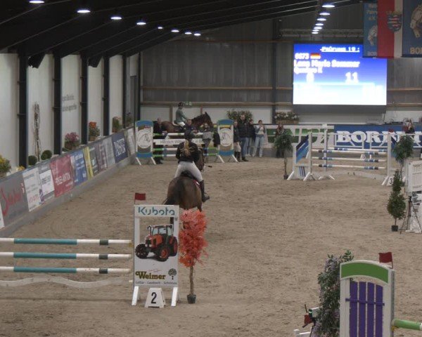 Reitturnier Borken (Hessen) 2025