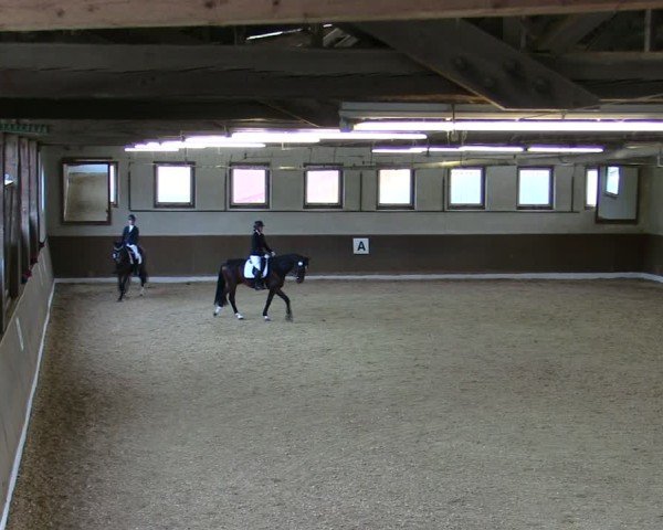 Reitturnier Poggersdorf 2025