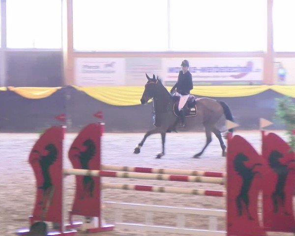 Reitturnier Sauldorf 2025