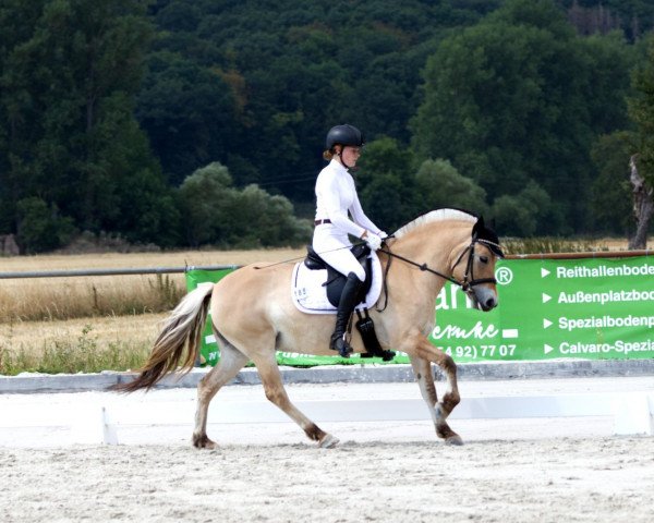 dressage horse Mia 177 (Fjord Horse, 2014, from Valon)