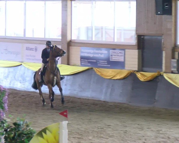Reitturnier Sauldorf 2025