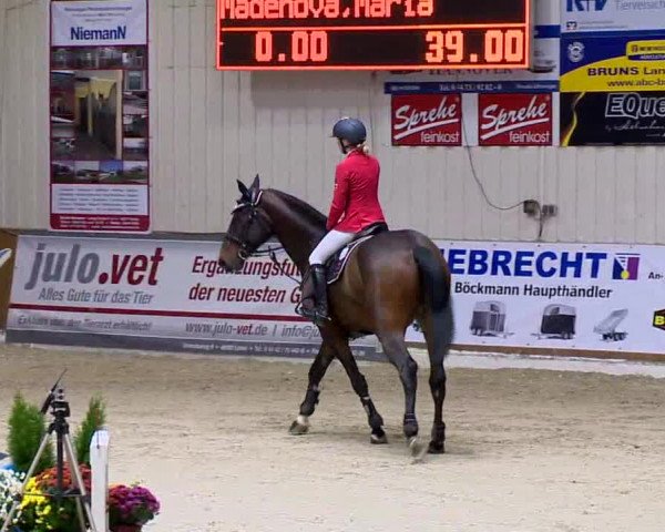 11. Hallen-Championat Vechta 2013
