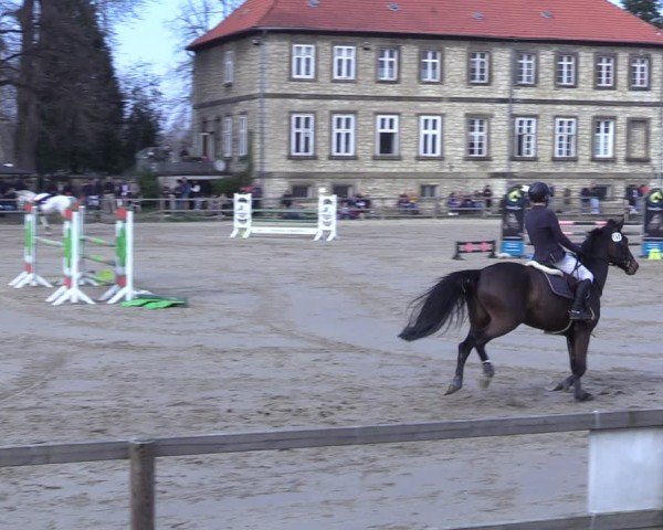 Reitturnier Hildesheim-Steuerwald 2025