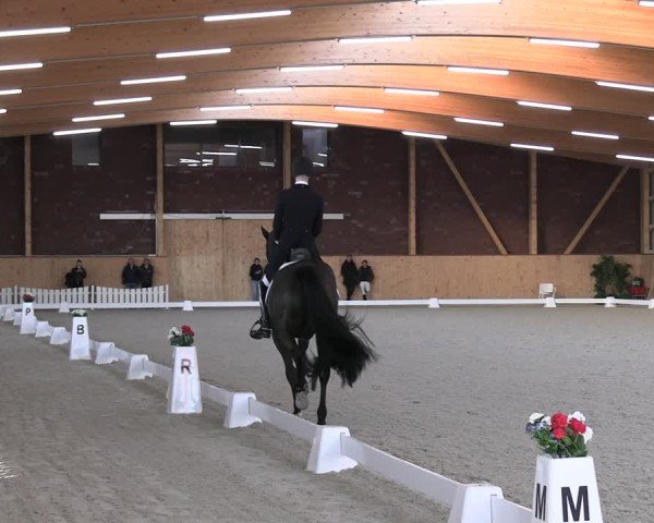 Reitturnier Hohen Wieschendorf 2025