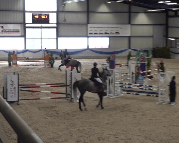 Reitturnier Buchs 2025