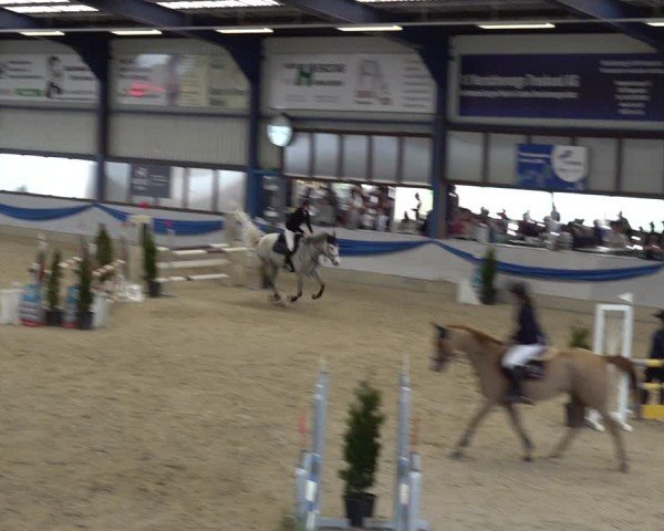 Reitturnier Buchs 2025