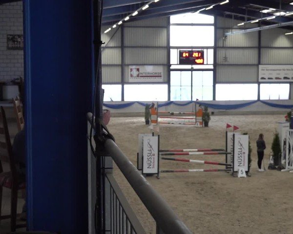 Reitturnier Buchs 2025