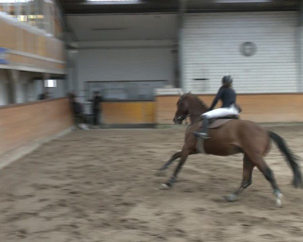 Reitturnier Vorsfelde 2025