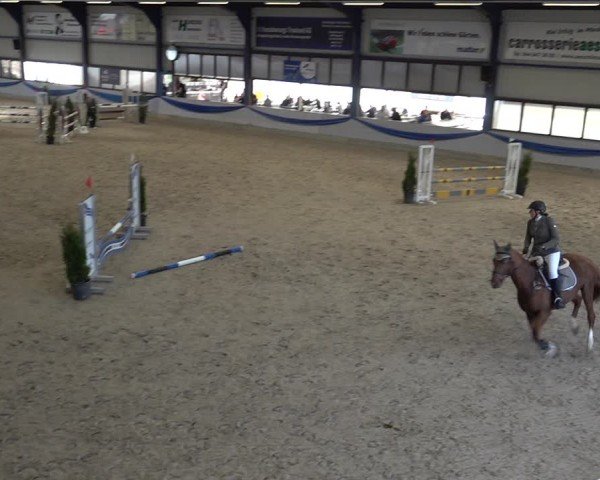 Reitturnier Buchs 2025