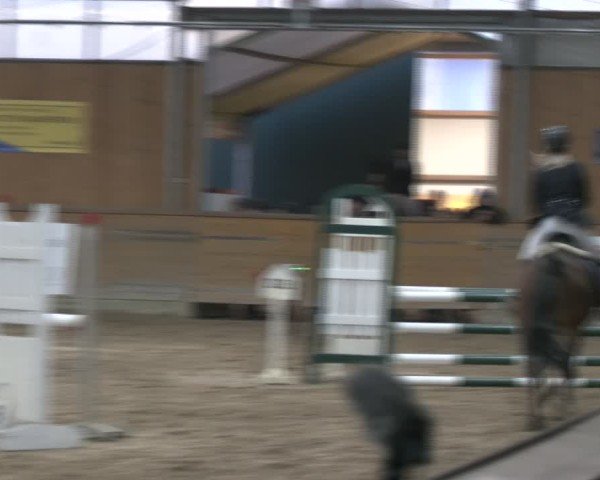 Reitturnier Vorsfelde 2025