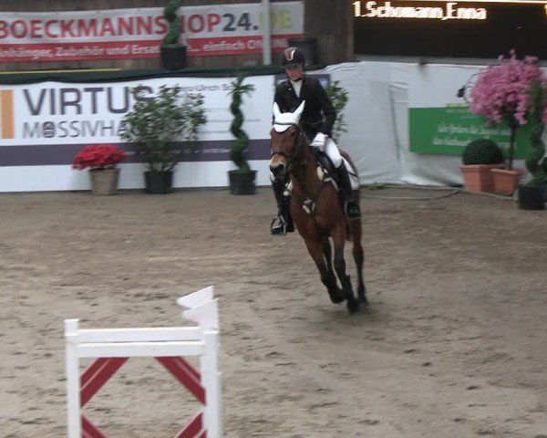 Reitturnier Timmendorf 2025