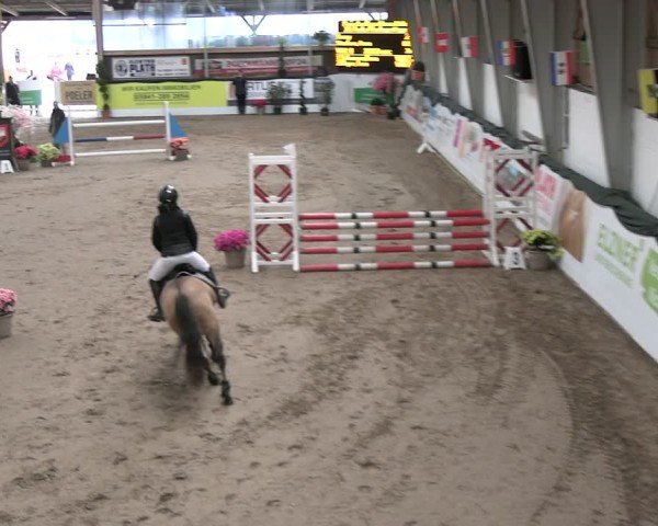 Reitturnier Timmendorf 2025