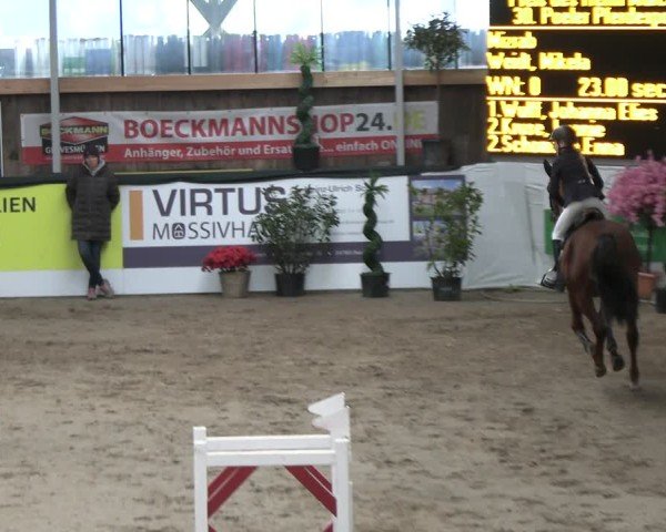 Reitturnier Timmendorf 2025