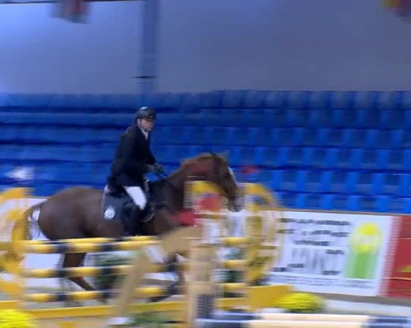 11. Hallen-Championat Vechta 2013