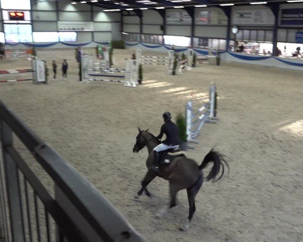 Reitturnier Buchs 2025
