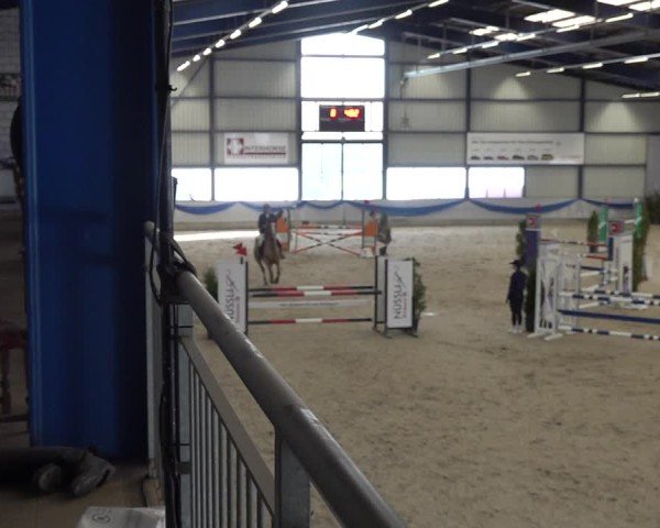 Reitturnier Buchs 2025