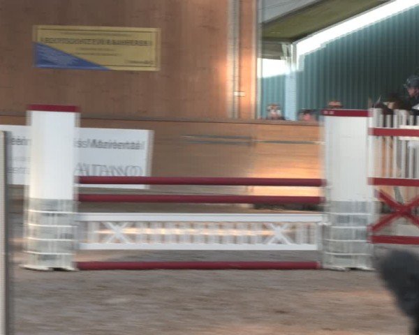 Reitturnier Vorsfelde 2025