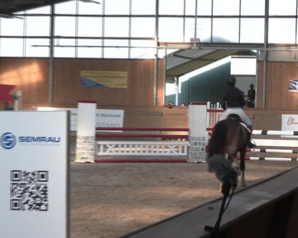 Reitturnier Vorsfelde 2025