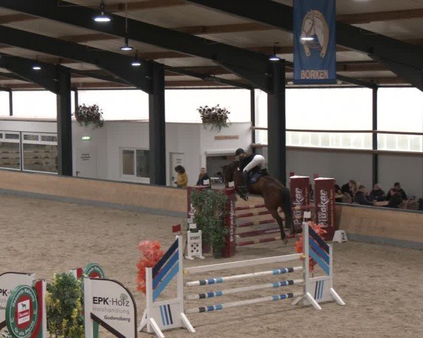 Reitturnier Borken (Hessen) 2025
