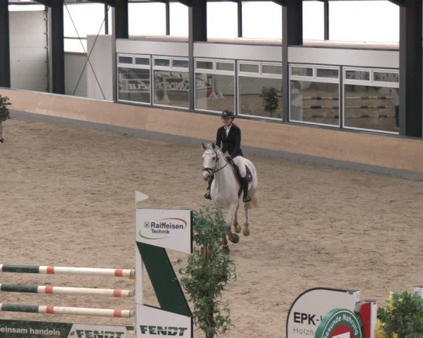 Reitturnier Borken (Hessen) 2025