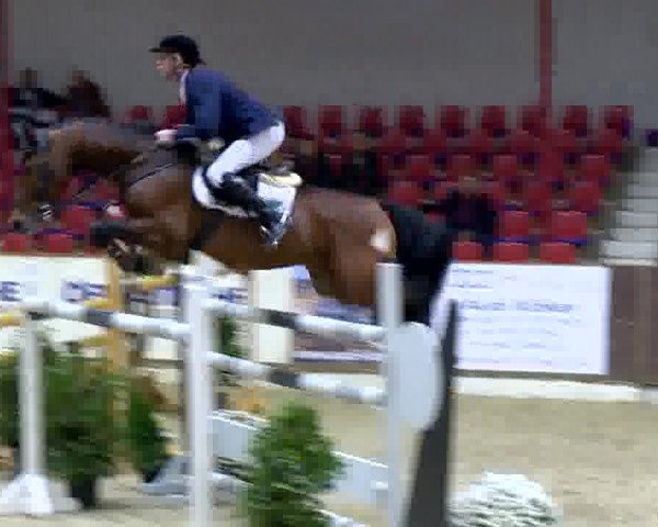 Reitturnier Vechta 2013