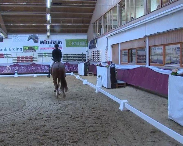 Reitturnier Eicherloh 2025