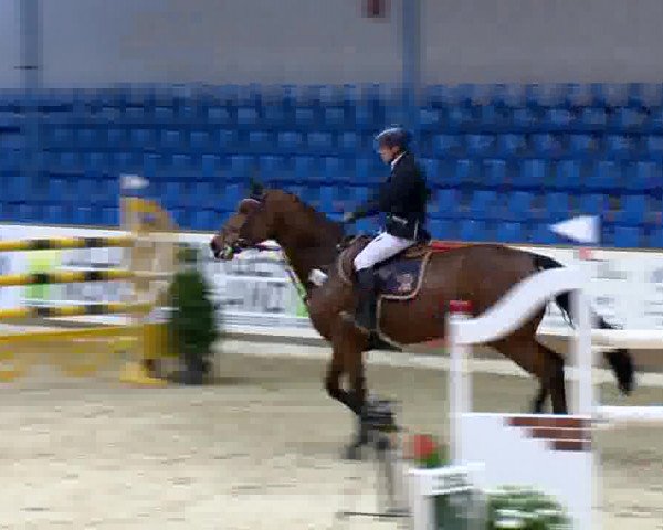 Reitturnier Vechta 2013
