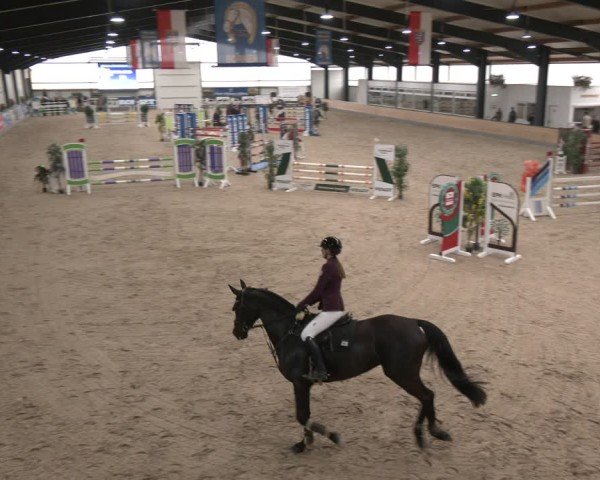 Reitturnier Borken (Hessen) 2025
