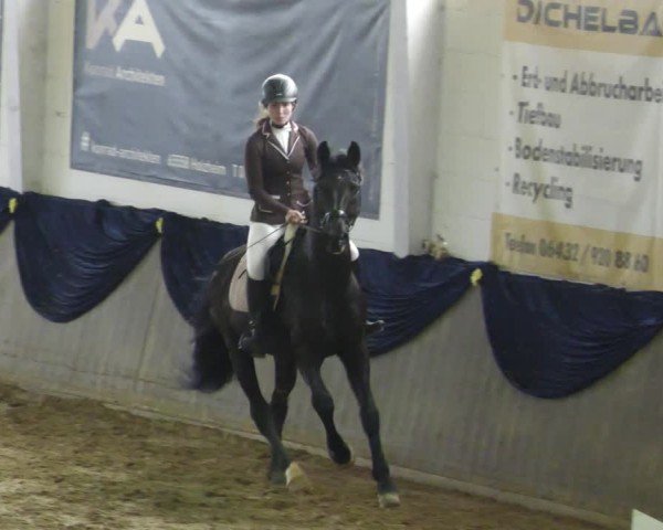 Reitturnier Diez 2025