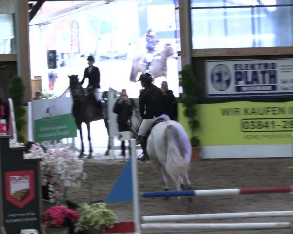 Reitturnier Timmendorf 2025