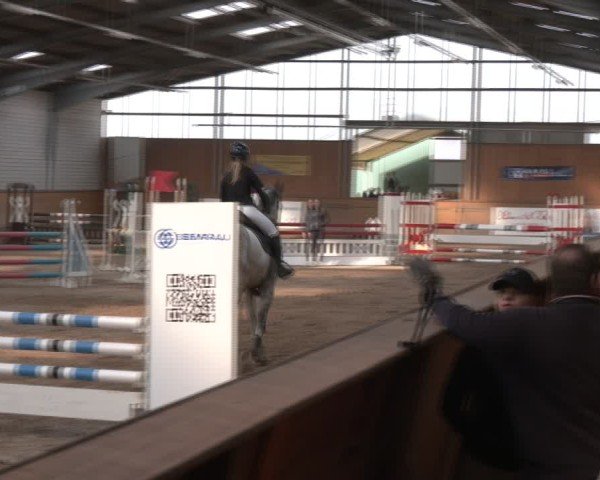 Reitturnier Vorsfelde 2025