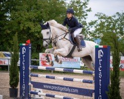 jumper Inny of Ballyglass (Irish Sport Horse, 2009, from Callanagh Gold)