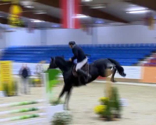 11. Hallen-Championat Vechta 2013