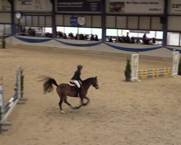 Reitturnier Buchs 2025
