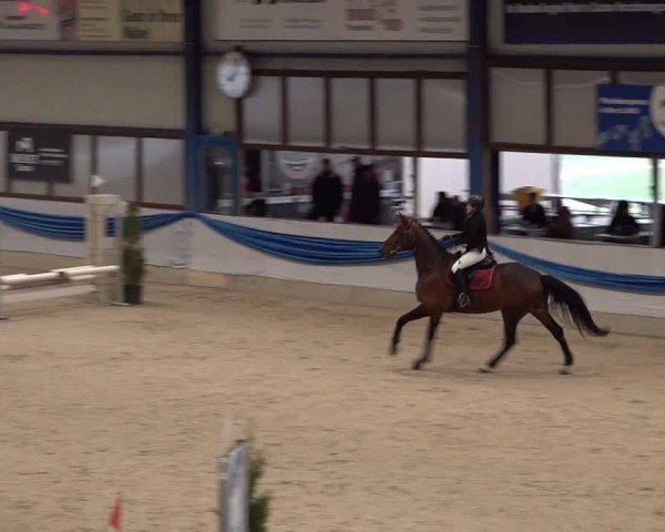 Reitturnier Buchs 2025