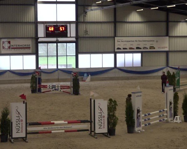 Reitturnier Buchs 2025