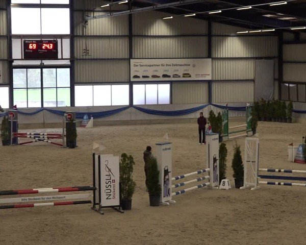 Reitturnier Buchs 2025