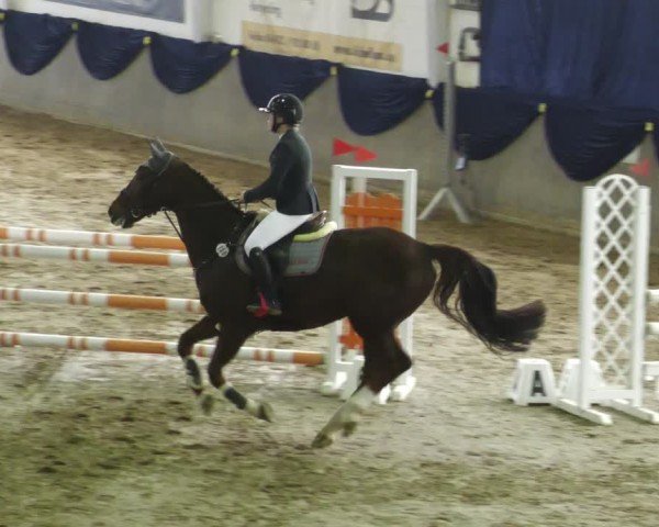 Reitturnier Diez 2025